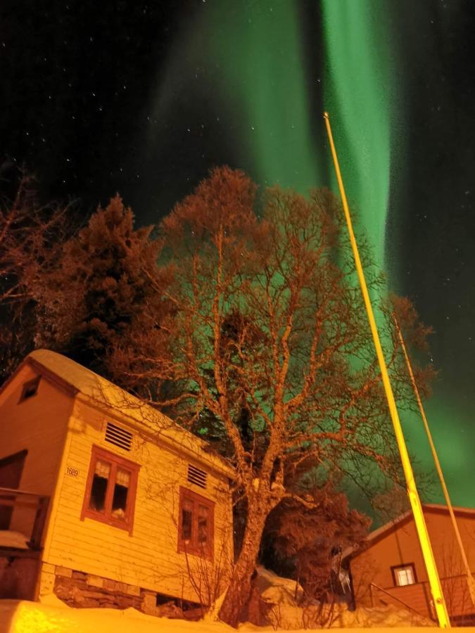 Senja Skaland Villa Melkarhola Exteriör bild