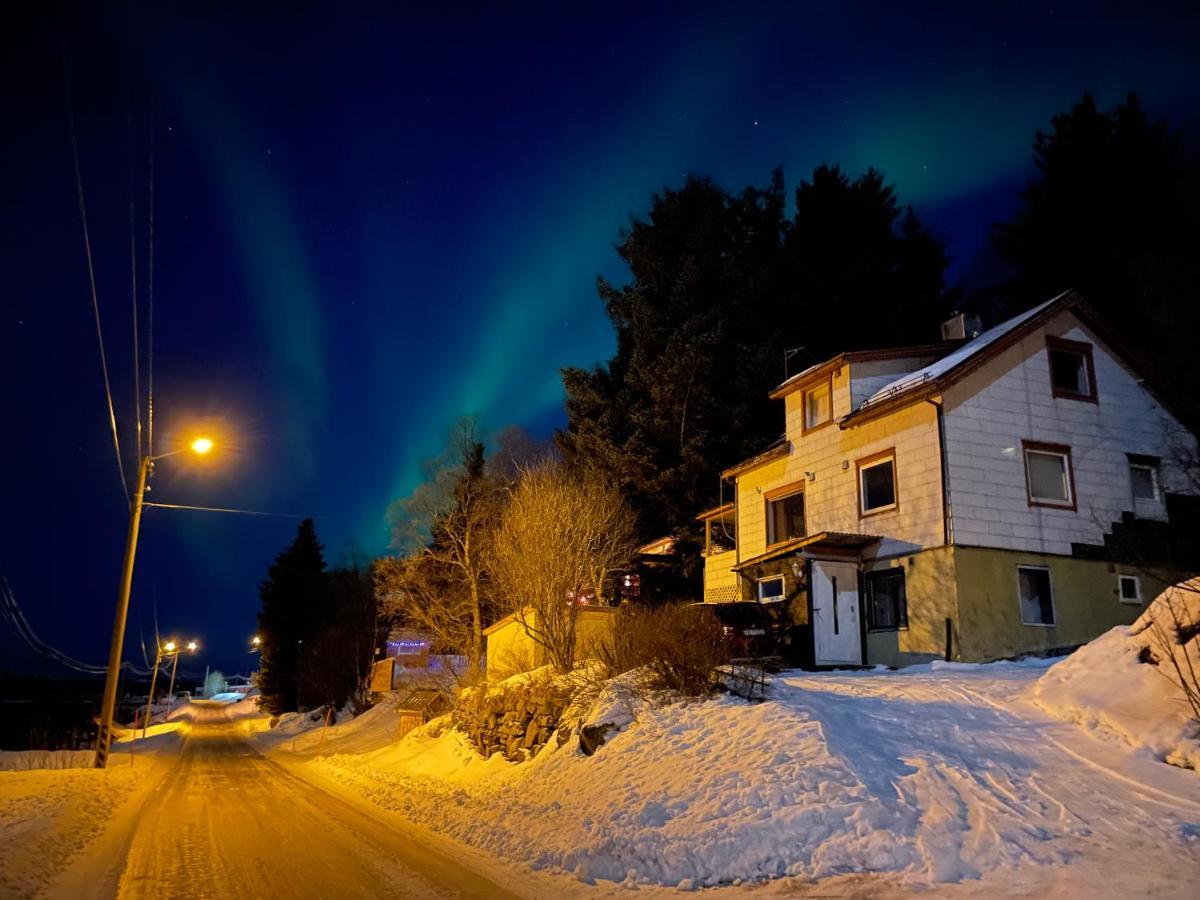 Senja Skaland Villa Melkarhola Exteriör bild