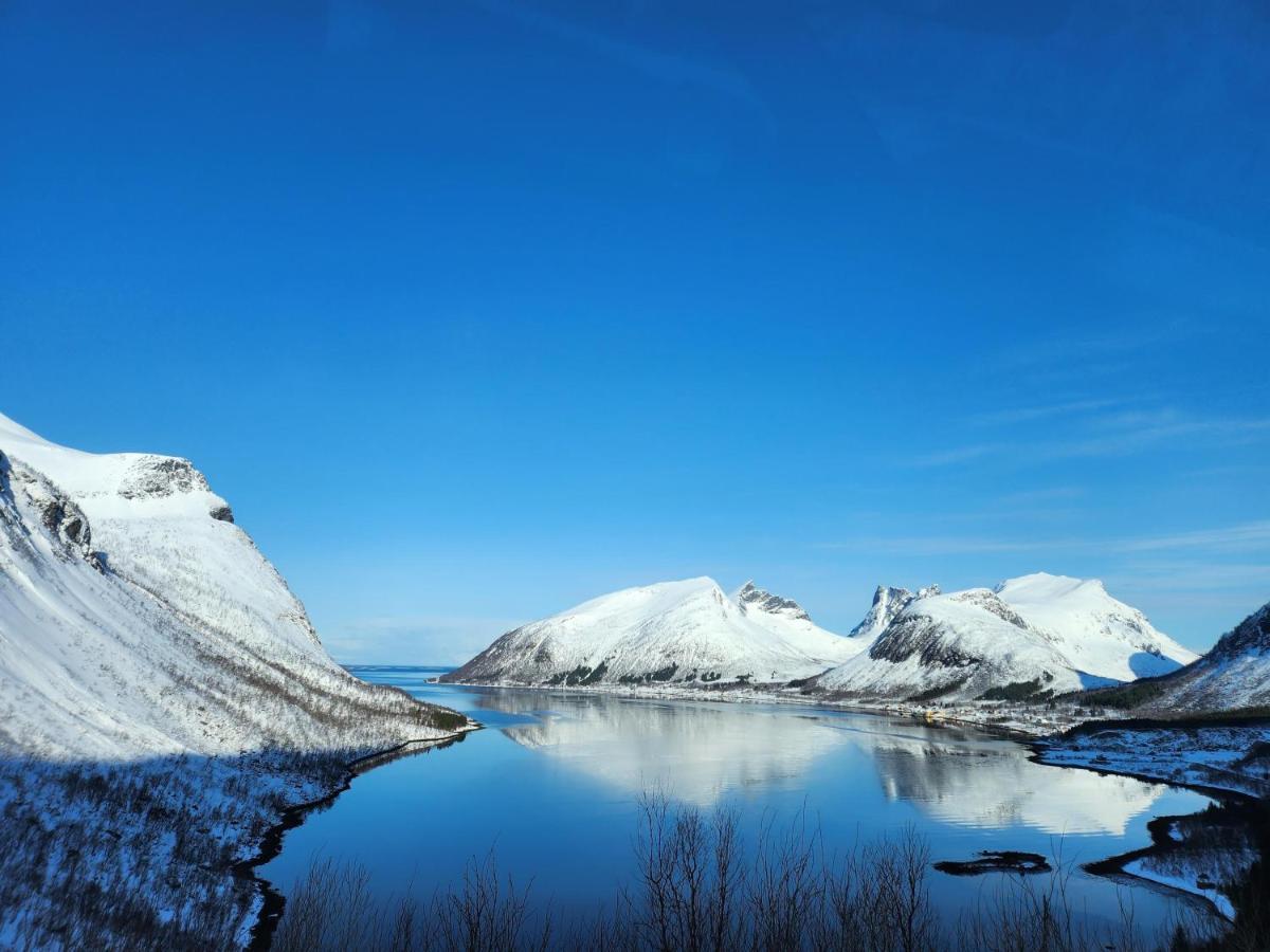 Senja Skaland Villa Melkarhola Exteriör bild