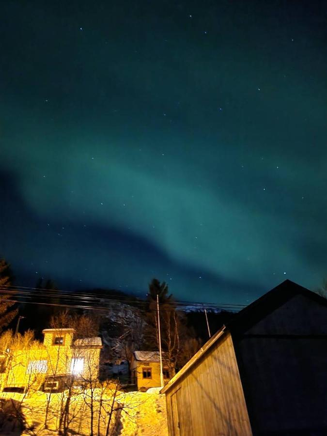 Senja Skaland Villa Melkarhola Exteriör bild