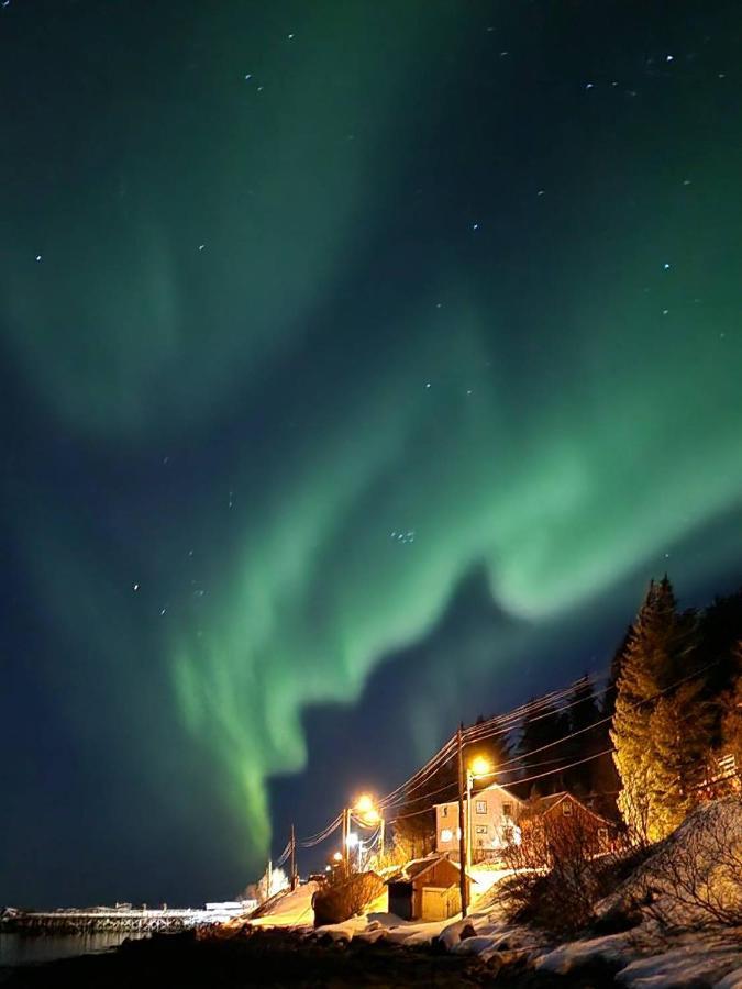 Senja Skaland Villa Melkarhola Exteriör bild