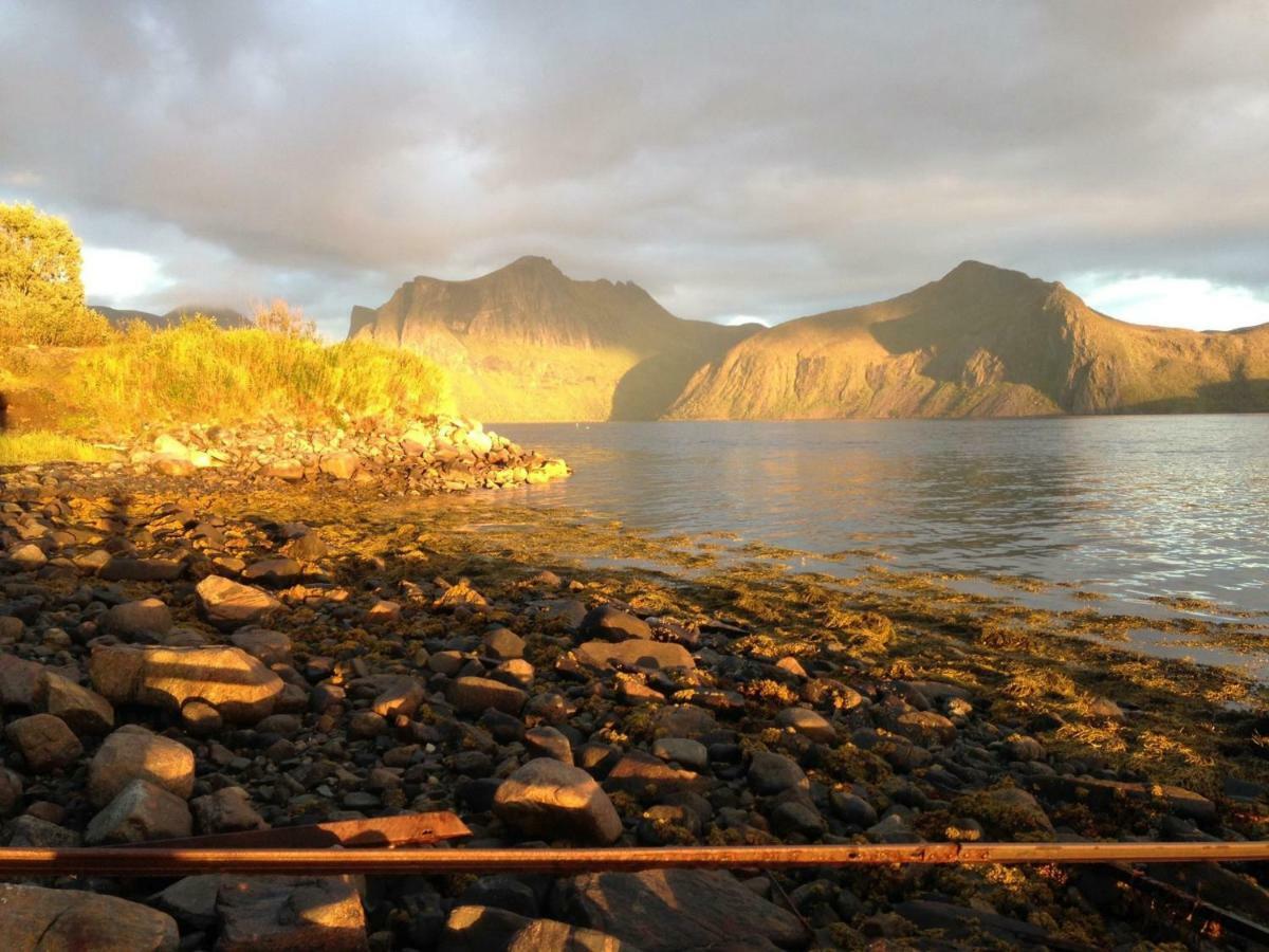 Senja Skaland Villa Melkarhola Exteriör bild